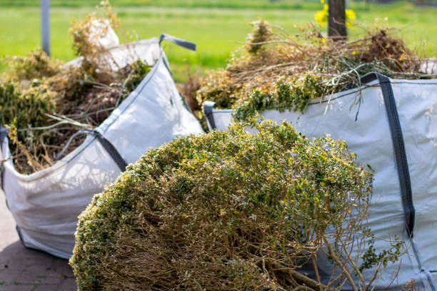 Professional Junk Removal Services in Monroe, WA